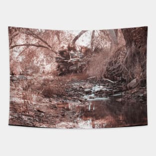 Photo of Peaceful Jungle Stream in California V2 Tapestry