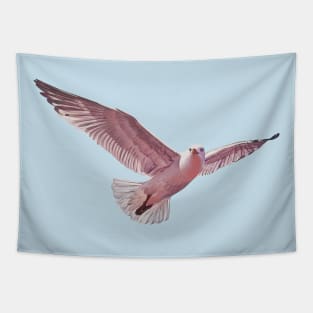 Pink Gull 2 - herring gull painting (no background) Tapestry