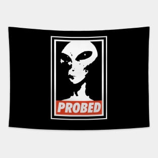 PROBED obey-style Tapestry