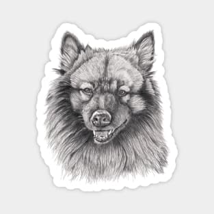 Keeshond Magnet