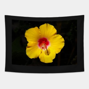 Yellow hibiscus Tapestry