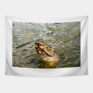 The Joker Alligator Tapestry