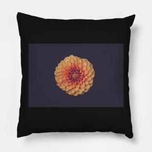 Chrysanthemum Flower Pillow