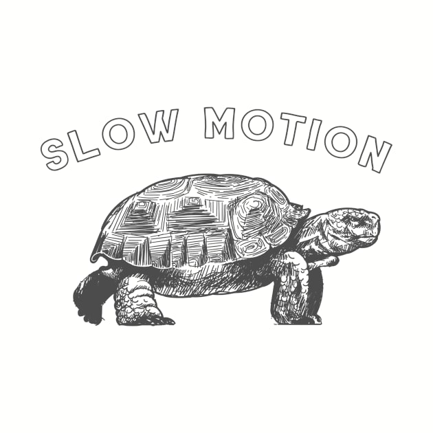 slow motion (the thurtle) by GS