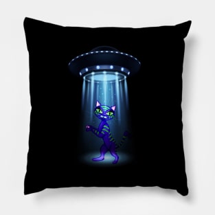 Space Kitties Pillow