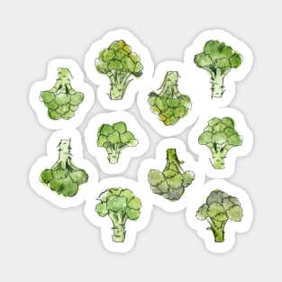 Watercolour Broccoli Sticker Sheet Magnet