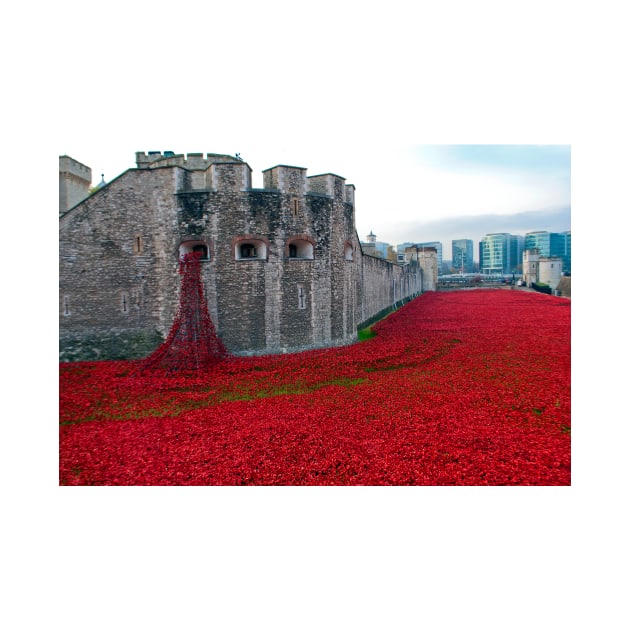 Tower of London Red Poppy by AndyEvansPhotos