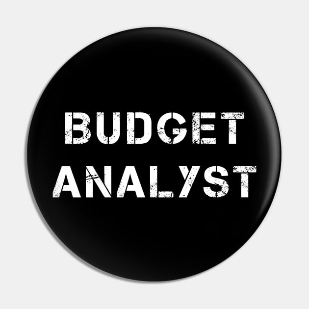 Budget Analyst Pin by PallKris