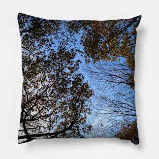 Tree Tops Pillow