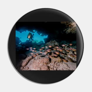 Diver in Cavern With School of Fish Pin