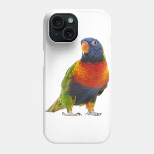 Cute Parrot Phone Case