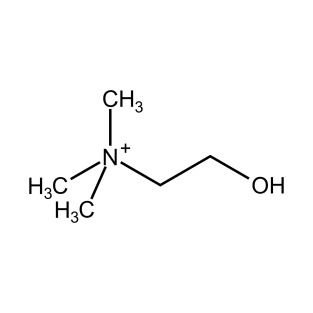 Choline C5H14NO Molecule T-Shirt