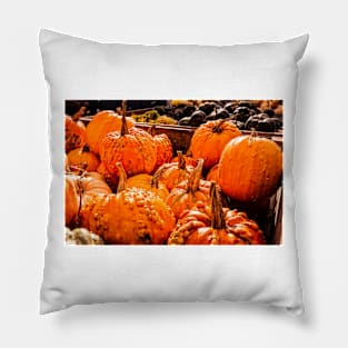 Fall Pumpkins 1 Pillow