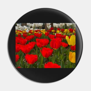 Dancing Tulips Pin