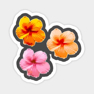 flowers, floral decoration Magnet