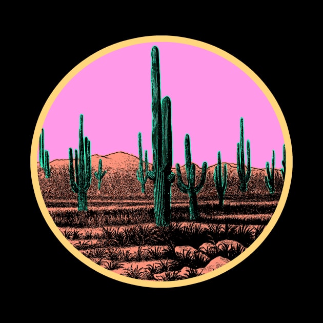 Desert Cactus Sunset by encycloart