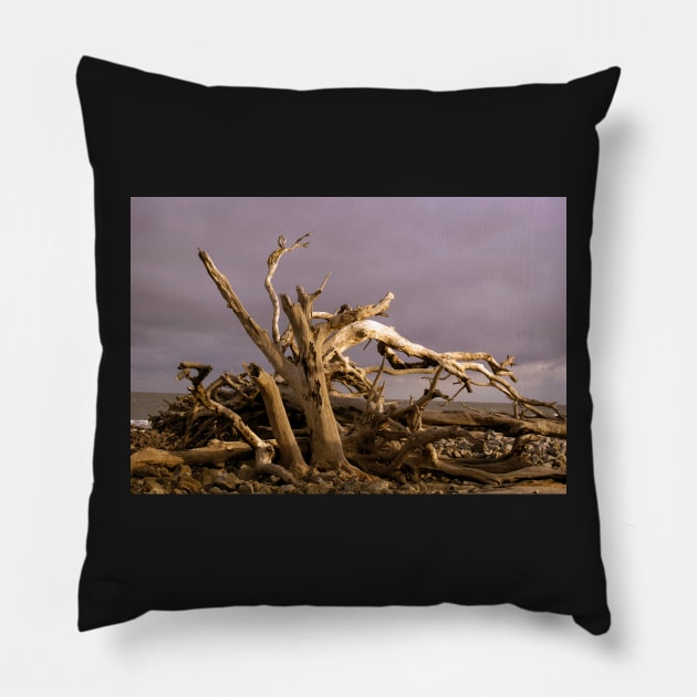 Stark Branches of Driftwood against Gray Sky Pillow by SeaChangeDesign