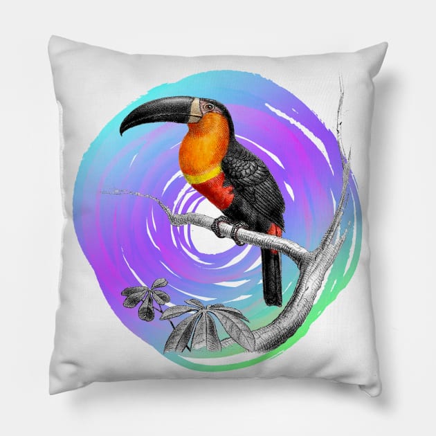 It's summer time: Toucan taxonomy design Pillow by Blacklinesw9