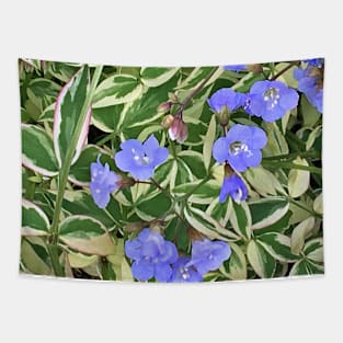 Variegated leaves with Light Blue Flowers - Floral Photograph - Early Summer Flowers Tapestry