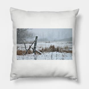 Fencepost in Winter Pillow