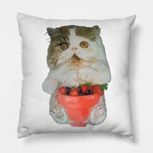 Kitten with Fruit Smoothie Pillow