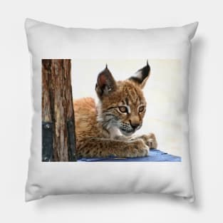 Baby Lynx Pillow