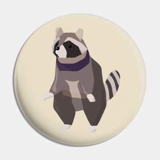 Raccoon Pin