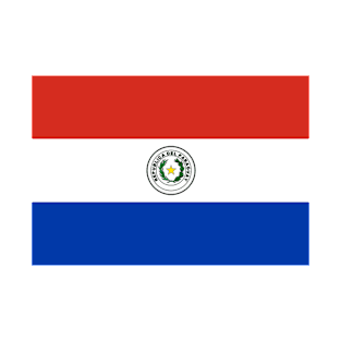 Paraguay flag T-Shirt