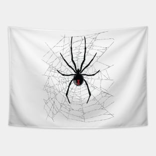 Black Widow in a web Tapestry