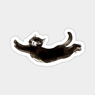 Black cat lady Magnet