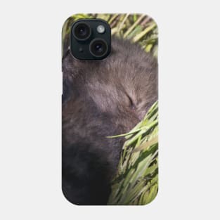 Sleeping Wolf Pup Phone Case