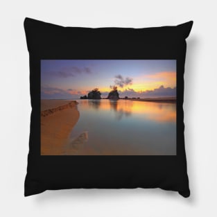 RIVER TO THE SEA DESIGN Pillow