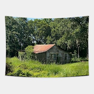 Swamp house Tapestry