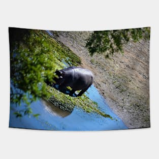 Hippo on Crocodile River 3 Tapestry