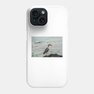 Black-crowned night heron of hawaii 4 Phone Case