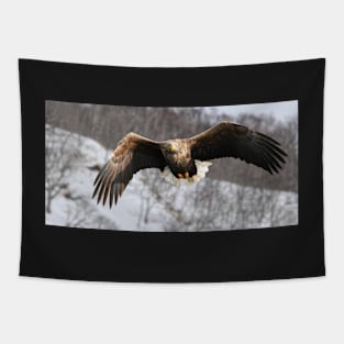 White tailed eagle Tapestry