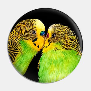 Budgie love Pin