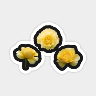 Yellow Aesthetic Garden Roses Sticker Pack Magnet