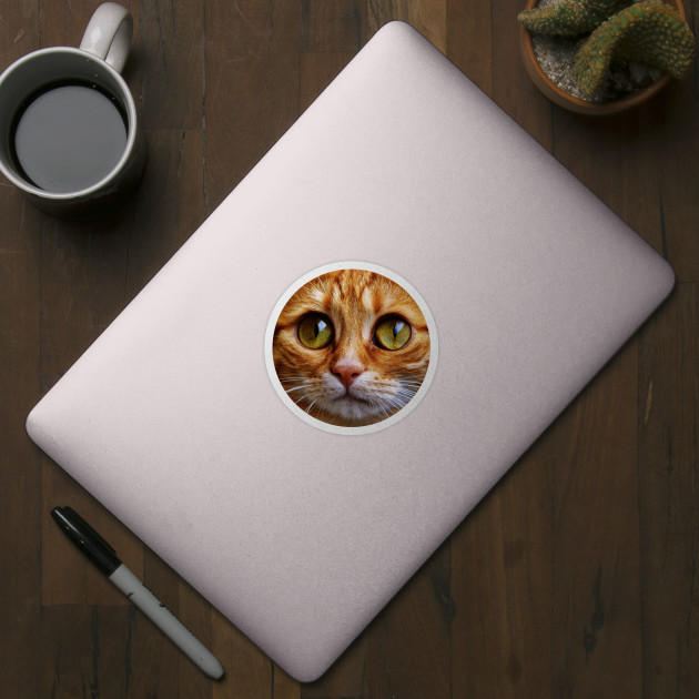 Cute Cat PFP Sticker for Sale by thetechnopath