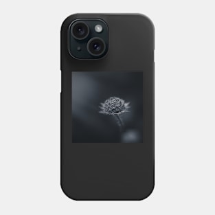 Looking for the Sun Phone Case