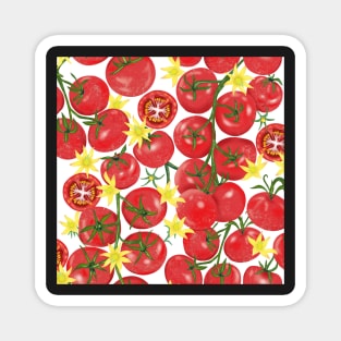 Tomatoes on the vine Magnet