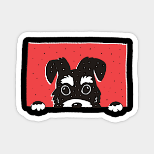 peeking schnauzer Magnet