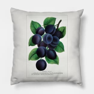 Mooer's Arctic Plum Lithograph (1900) Pillow