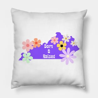 Groovy Kentucky Pillow