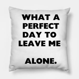 what a perfect day to  leave me  alone. Pillow