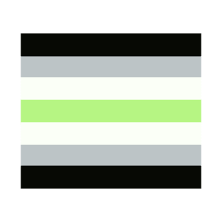 agender flag T-Shirt