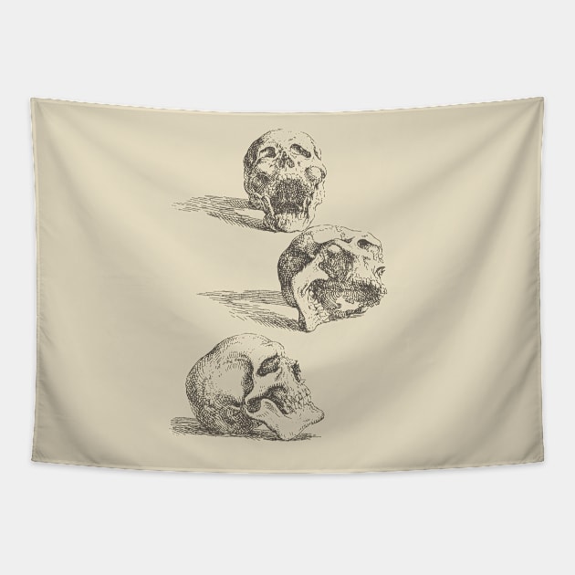 Salvator Rosa - Three Human Skulls Tapestry by JohnnyBoyOutfitters