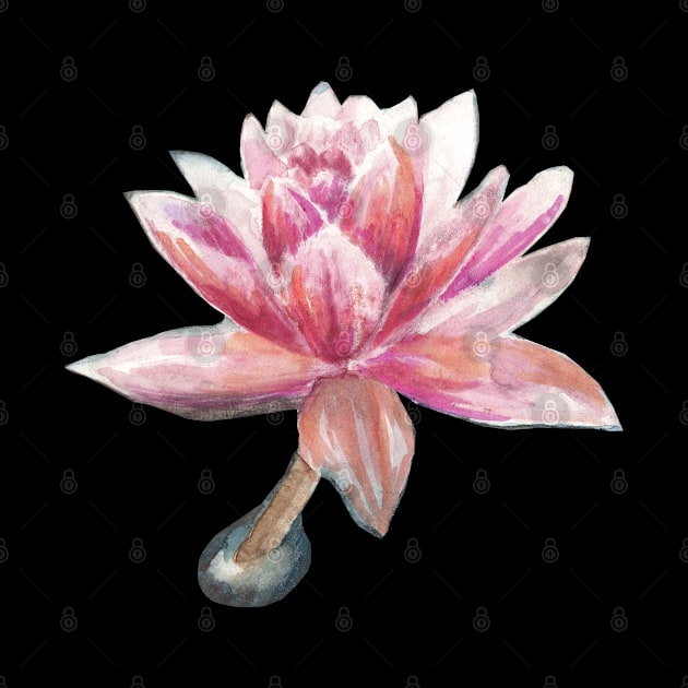 Flamingo Lotus Flower by Miriam Steinau