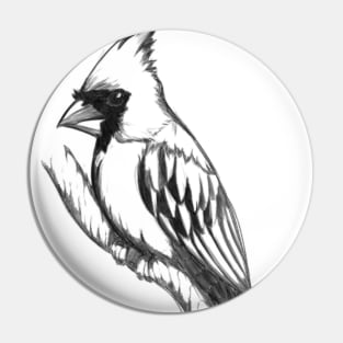 Northern Cardinal - Pencil Bird Illustration Pin