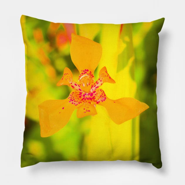 Yellow lily blossom on yellow background Pillow by kall3bu